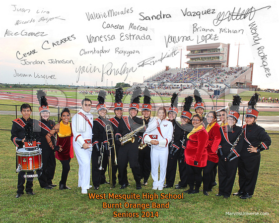 Burnt Orange Band Senior Photo 2014